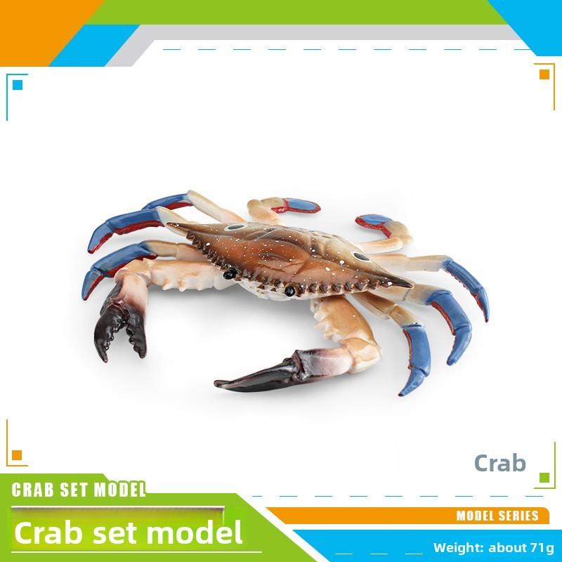 Crab Marine Animal Static Model Toy With Realistic Design For Decor Desktop