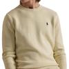 Polo Ralph Lauren Solid Logo Crew Neck Knit Sweater Men sweater MNPOSWE16822194-101