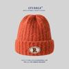 Warm Knitted Hats for Men and Women R Marked Face-showing Small Woolen Hats  Pile Hats for Couples  Outdoor Pullover Cold Hats