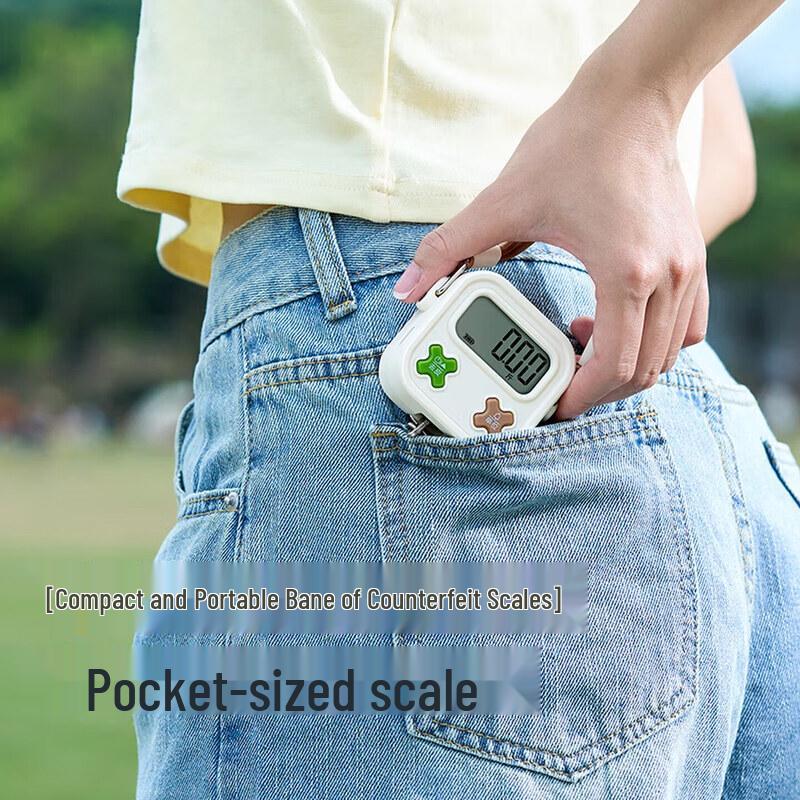 CAMRY Portable Digital Hanging Scale