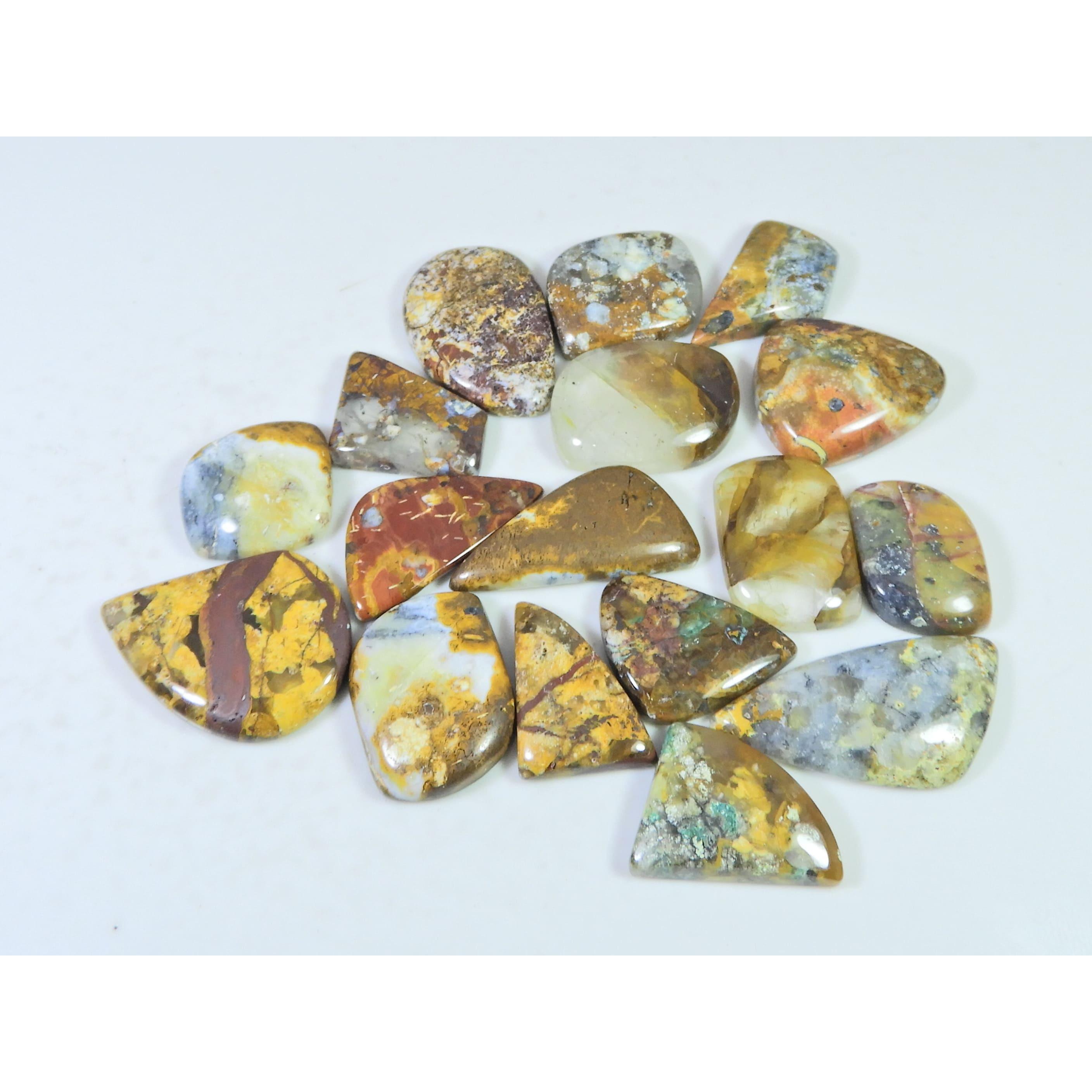 281Cts. Natural Forest Agate Fancy Cabochon Loose Gemstone 17 Pcs Lot C-1946