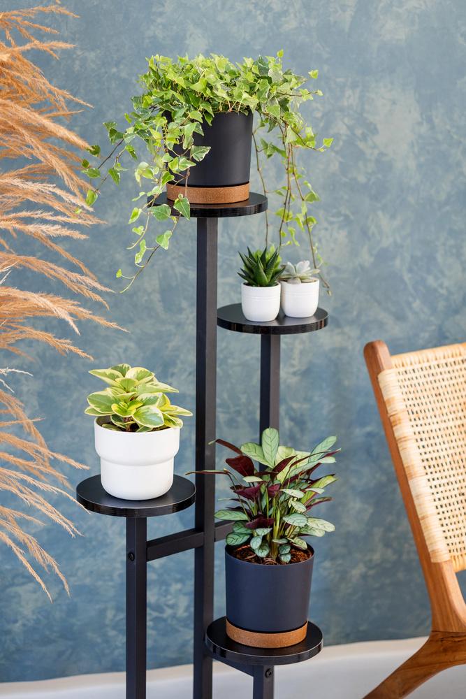 FINO Universal Flower Stand - Black, 4-tier Flower Stand for 6 Pots