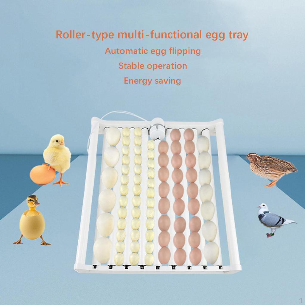 Chicken Egg Incubator Lightweight Incubation Tray for Quail Pigeon Goose Holds 70 Eggs
