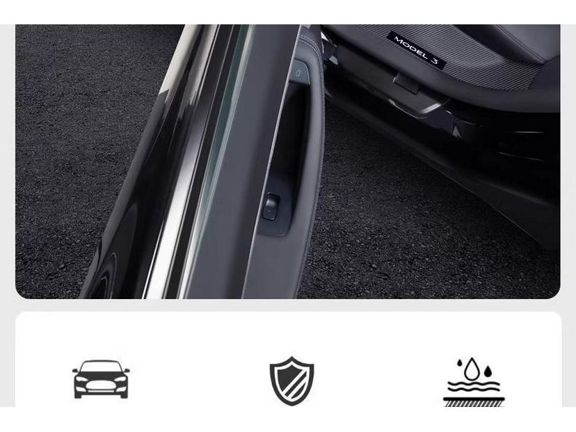 Tesla Model 3 Kohlefaser Einstiegsleisten