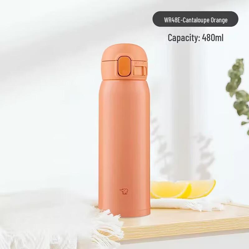 Zojirushi WR48E Stainless Steel Vacuum Insulated Mug