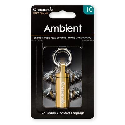 PRO Ear Plugs for Chamber Ear Protectors Ambient 10 Music/Jazz/Recording