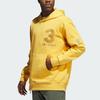Adidas Sweatshirts Men's Yellow Hooded Moderate Regular HZ3235