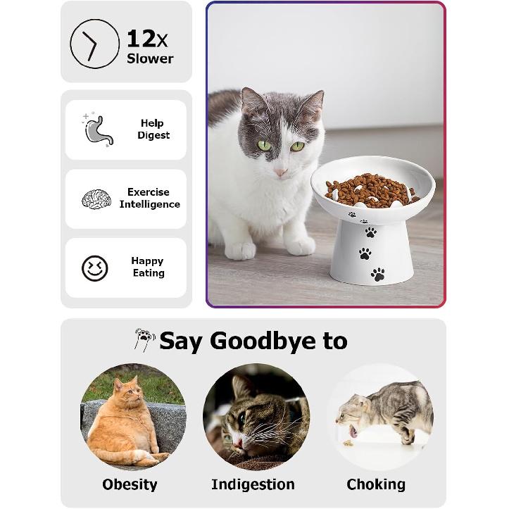 Y YHY Slow Feeder Cat Bowl, Ceramic Cat Slow Feeder Bowl, 6 Inches, Elevated, Anti Vomiting for Dry and Wet Food, White