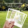 Transparent Specimen DIY Kit: Pressed Leaves, Flowers, Plants for Dried Spring Bookmarks