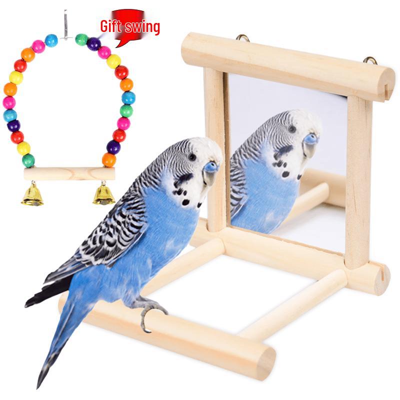 Parrot Mirror with Prickly Ash Wood Perch and Swing Toy