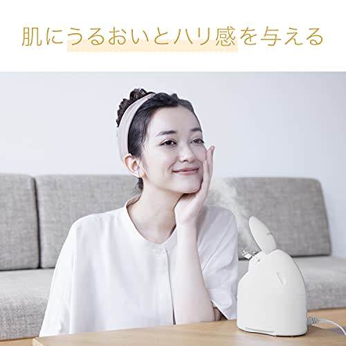 Panasonic Steamer Nano Care Compact Type Gold Tone EH-SA3C-N