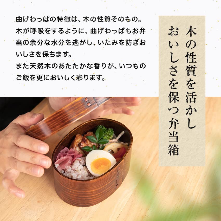 Osaka Choseido Magewappa Bento Single Lunch Bonus Beige Band Box, Oval, Tier, Divided, Band, Included, Small, 450cc,