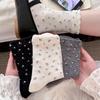 Spring and Summer Sweet Style Flowery Mid-Calf Tube Socks Trendy Soft Lace Stylishly Versatile Transparent Layered Socks Lightweight Version