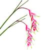 Phoenix Bird of Paradise 5-Head Green Plant Simulation - Large Decorative Branch for Home