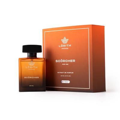 Pánský parfém 100 ML