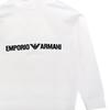 Emporio Armani Ss23 Letter Print Hooded Long Sleeve Sweatshirt Men Sweatshirt Beige 6L1ML9-1JWPZ-01E1