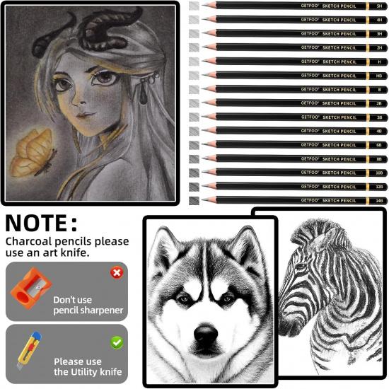 Drawing Sketching Pencil Set 21 Pack Art Pencil Kit with Graphite Pencils (14B-5H), Charcoal Pencil, Ideal for Shading, Blending, Drawing Set for