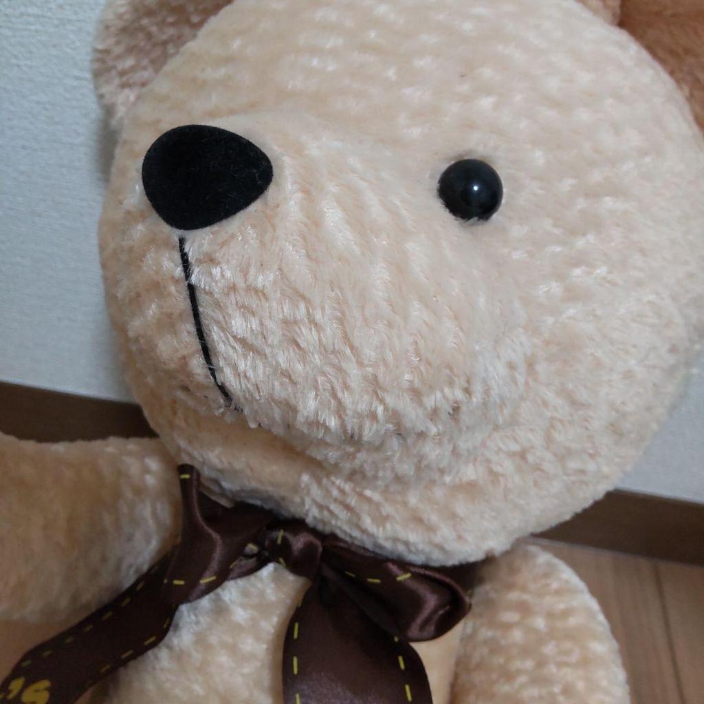 [USED] Anonymous shipping: Teddy bear plush toy