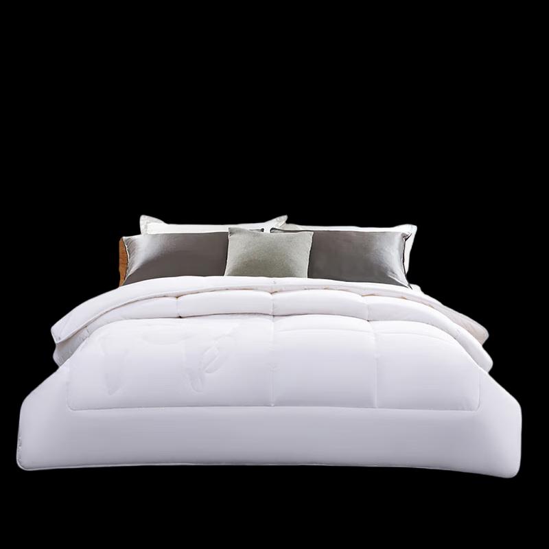 Mercury Home Textiles Antibacterial Australian Wool Quilt