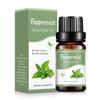 10ml Car Perfume Water-soluble Air Freshener Aroma Diffuser Air Humidifier Essential Oils Freshener Scents Fragrance Oil Perfume