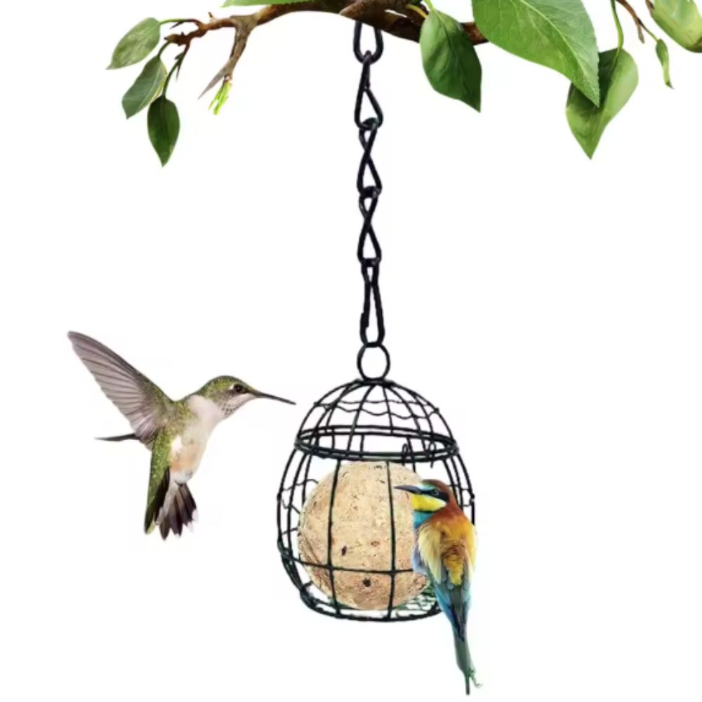 Iron Bird Feeding Wire Cage Bite Resistant Bird Feeding Basket Durable Hanging Bird Feeder Garden