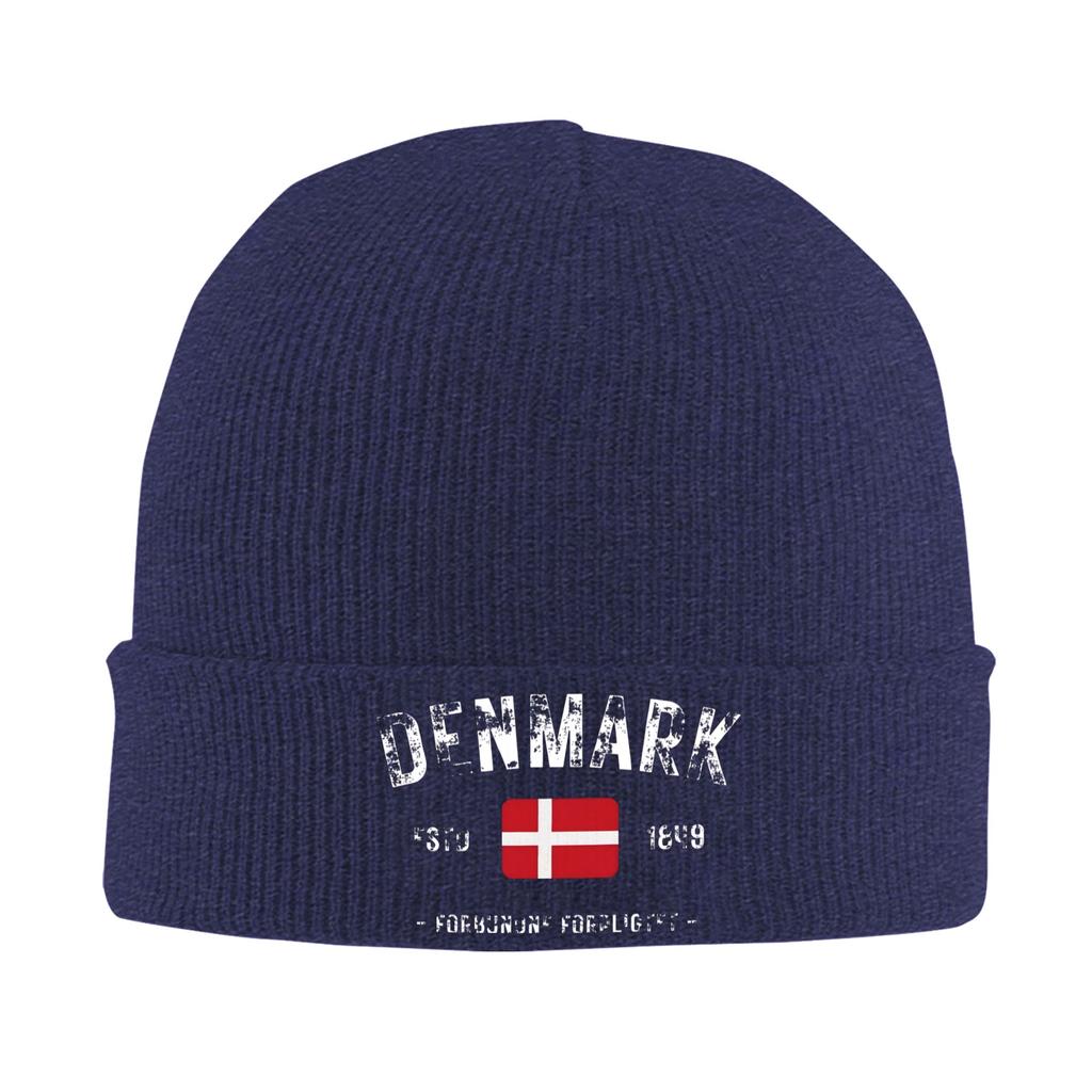 Denmark Estd 1849 Knitting Hat Beanie Hats Outdoor Sport Thermal Elastic Adult Unisex Bonnet Hats Winter Funny Caps Gift Idea