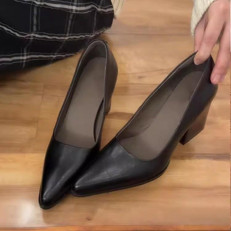 2025 Sheepskin Version~ Retro Thick Heel Pointed Temperament Black Medieval High Heels One Pedal Light Mouth Commuting Shoes