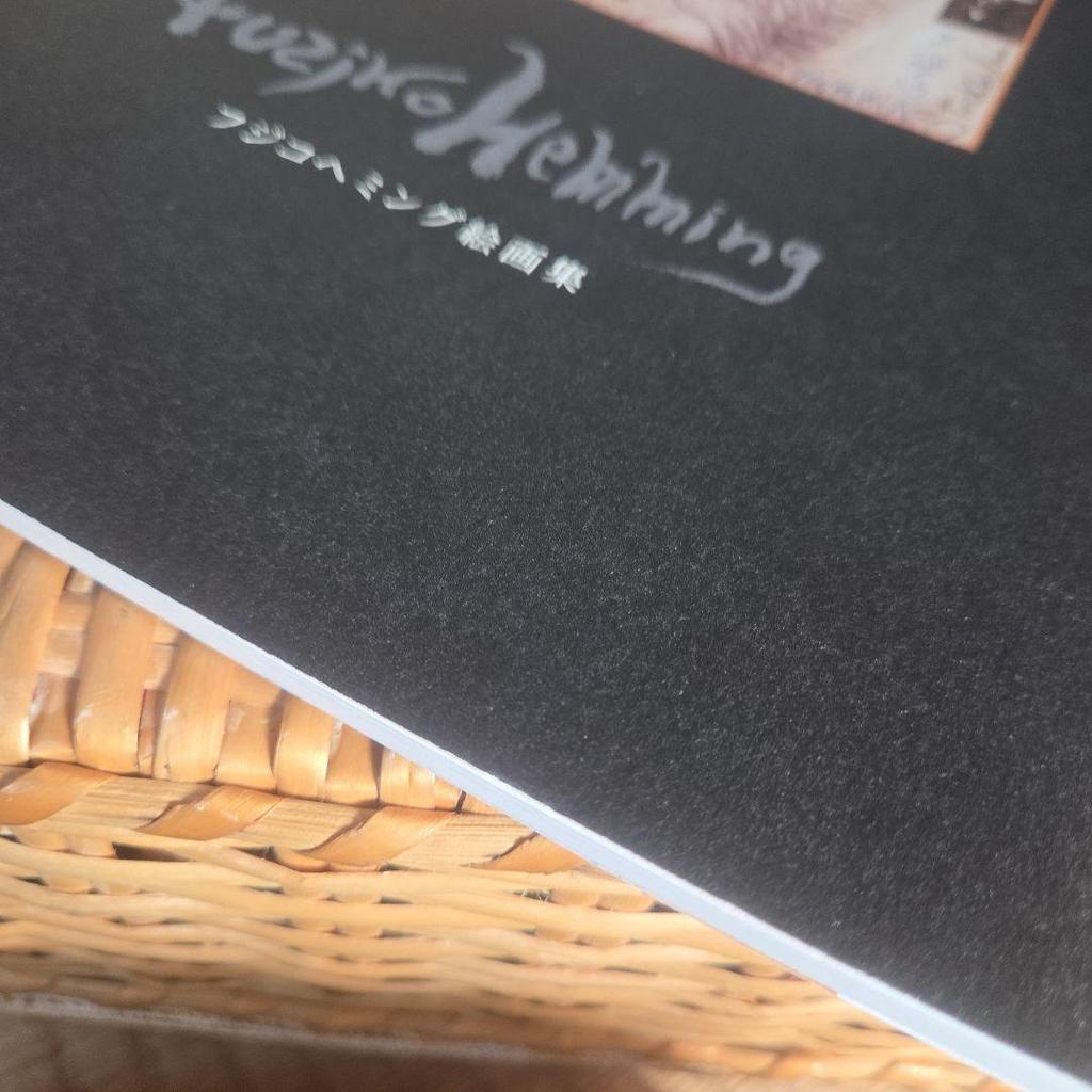 [USED] Fujiko Hemming Paintings Collection Fujiko Hemming Exhibition Rare Cat