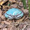 Creative Ceramic Tea Ornament Cracked Glaze Small Crab Statue Little Crab Tea Play  Party