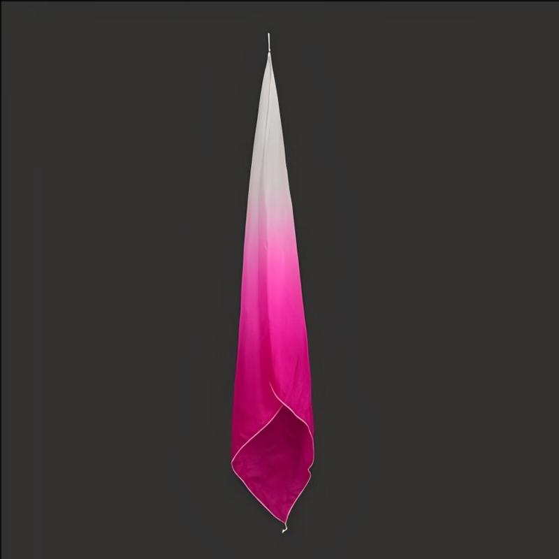 

Gradient Silk Dance Fan One Size