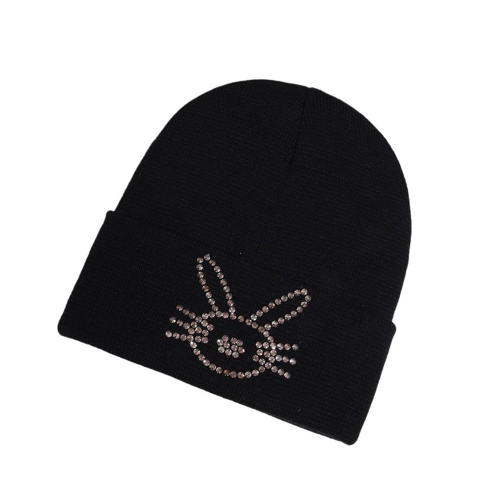 Korean Style Knit Hat With Bunny Embellishments For Autumn Winter Warmth