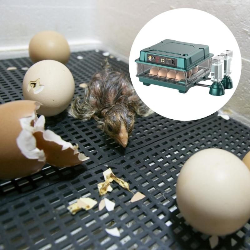 Eggs Incubator Auto Turners Temperature Control Eggs Durability Incubator for Chicken Quail and Duck Breeding