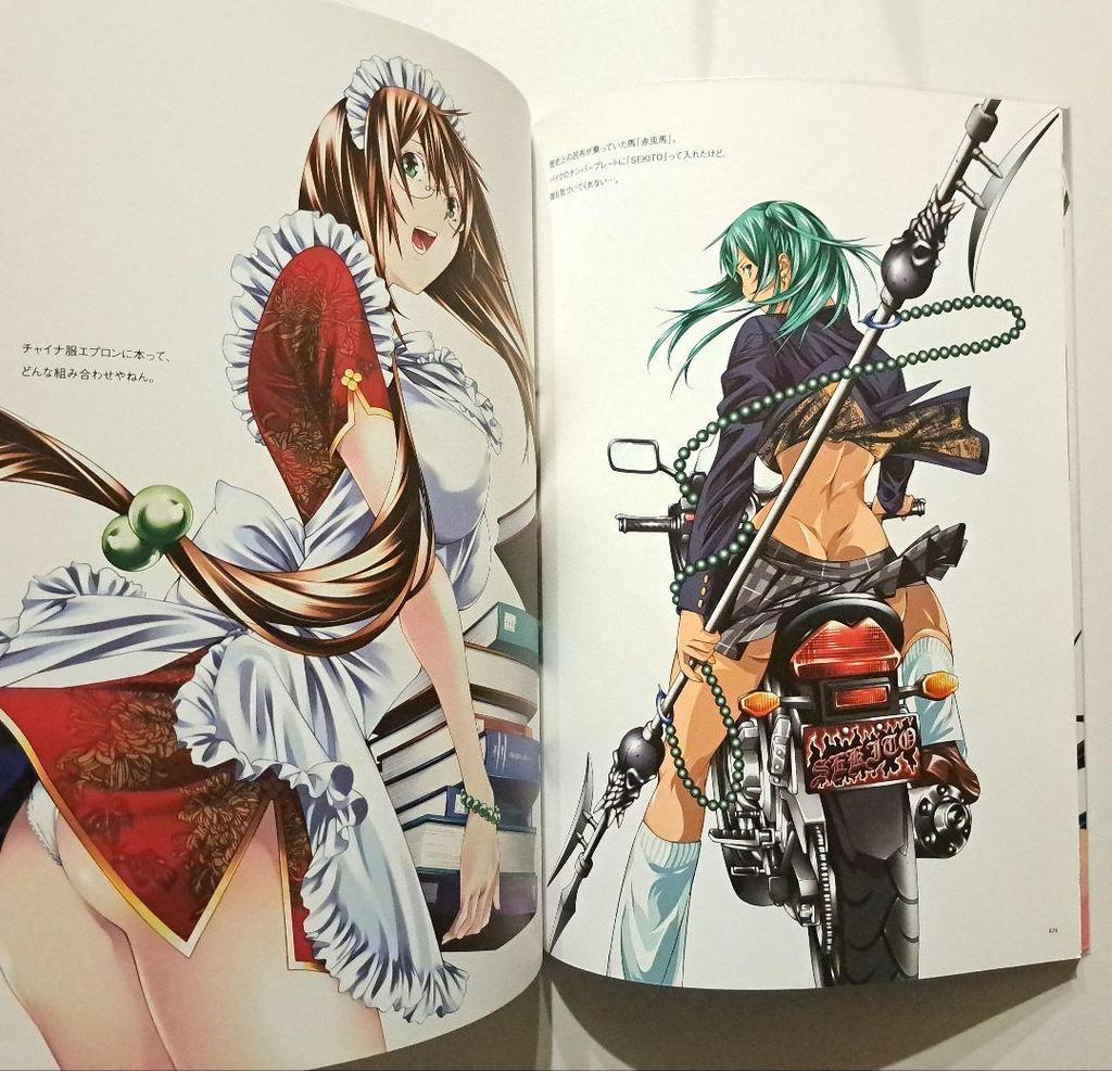 [USED] Ikki Tousen Master Works Yuji Shiozaki Art Collection
