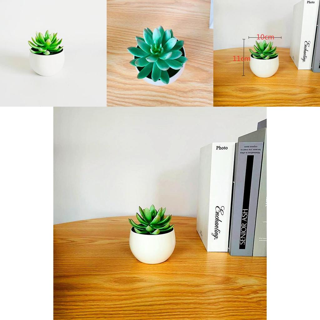 Simulated Succulent Bonsai Pot With Lightweight Pvc For Home Office Interior Design
