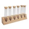 Coffee Bean Tubes Glass Refillable Dosing Coffee Bean Storage Jars with Solid Wood Base for Cafe