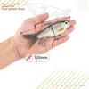Hard Baits Bass Lure Glide Action Swimbait High Performance Artificial Bait  Sea Fishing