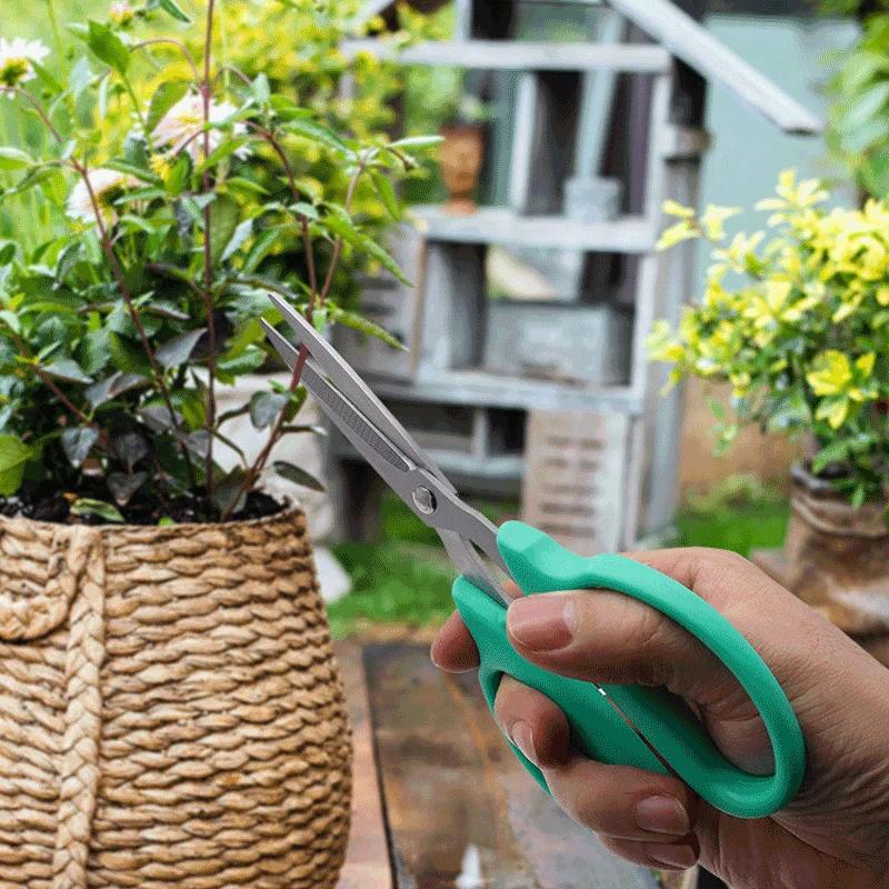 Straight Head Stainless Steel Sharp Pruning Shears ABS Antiskid Handle Hand Tool Household Green Garden Prune Scissors Kitchen