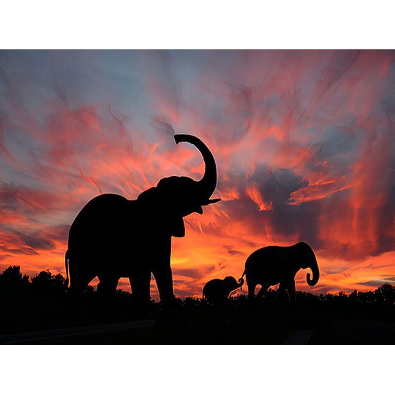 5D DIY Diamond Painting Cat and Horse Animal Diamond Embroidery Cross Stitch Kit Full Rhinestone Mosaic Home Decor