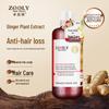 Zhuolanya Ginger Anti-Hair Loss Shampoo
