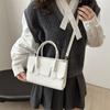Versatile Chic And Small Square Crossbody Handbag For Women In Timeless Colors Styles And