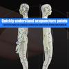 Model Uman pentru Practică de Acupunctură cu Puncte de Acupunctură și Meridiane Punct Model Masculin de Acupunctură Model Feminin de Acupunctură