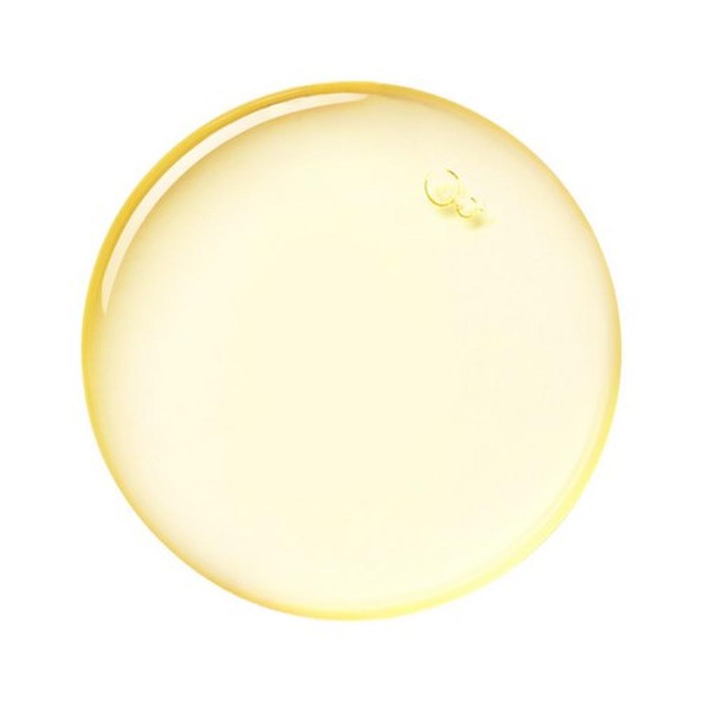 CNP LABORATORY Propolis Energy Ampoule Plus 35ml – Brightening & Elasticity Care, Korean