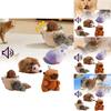 Plüsch klingendes Katzenspielzeug Interaktives Bewegungsaktiviertes Vogel Igel und Wasserschwein für Katzen
