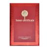 High-Grade Honor Certificate Covers with Inner Pages for Employee Appointment & Graduation - Pack of 10