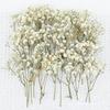 Set aus 50 getrockneten Schleierkraut-Bündeln, ewige Blumenstiele für Vasenarrangements, Dekoration, Tischmittelstücke 55KF
