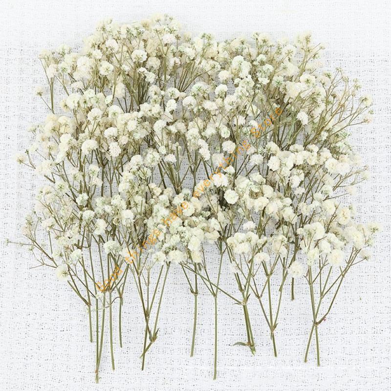 Set aus 50 getrockneten Schleierkraut-Bündeln, ewige Blumenstiele für Vasenarrangements, Dekoration, Tischmittelstücke 55KF
