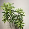 Realistic 110cm Artificial Pachira Aquatica Green Banyan Tree Artificial Green Planting Plastic Fake Branches Garden