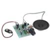 Short Circuits Two Project (No Brainer Amp)