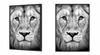 Picture Poster In a Frame 43x33 Cm Lion P1232