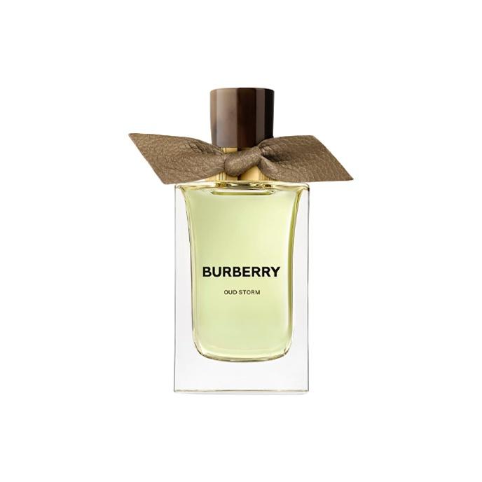 Burberry Премиальный Аромат Ebony Storm Парфюм Древесные Ноты Туалетная Вода EDP 100мл 100ml|Without Gift Box